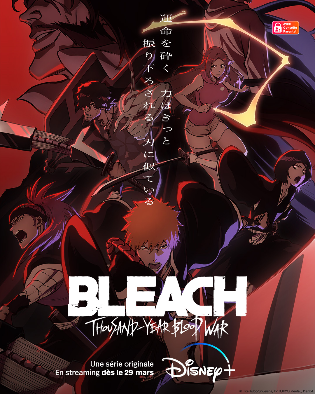 Affiche de la série Bleach
